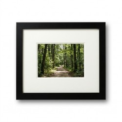 Custom Framing Services