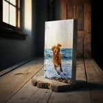 Barnboard Photo Prints